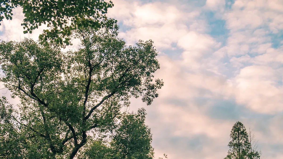 Trends in hair dryer manufacturing and technology in 2025 3 Eco-Friendly and Sustainable Hair Dryer Manufacturing